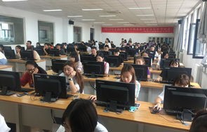 电子商务专业课考啥