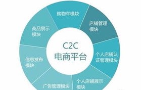 电子商务师什么专业类别