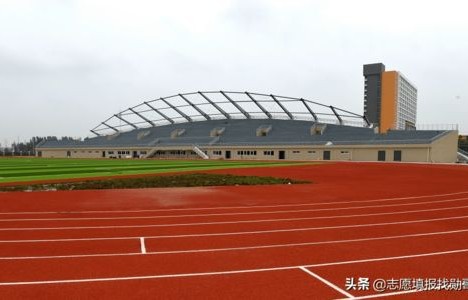 电子商务专业四字成语