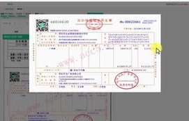 会计专业涉及电子商务吗