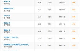 电子商务专业大学的排名