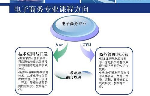 电子商务专业适合在哪里