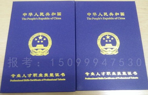 专业电子商务能考什么证