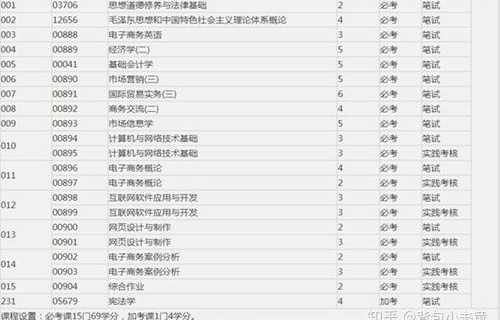 电子商务专业二级类目