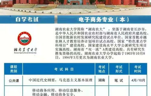新疆电子商务升本的专业