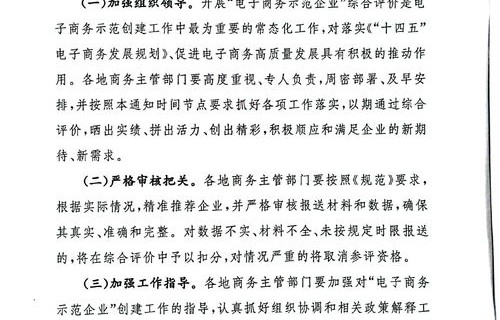夸电子商务专业好的评语