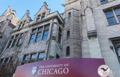 芝加哥大学电子商务专业
