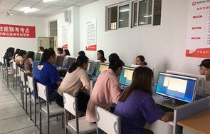 电子商务技术专科专业
