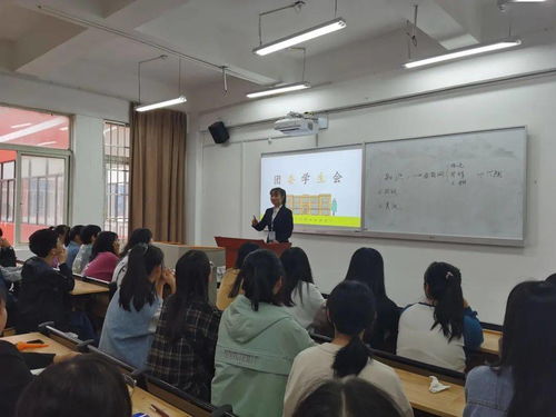 函授电子商务专业学什么