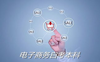 电子商务专业本科考试