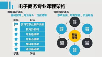电子商务求职专业技能