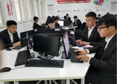 新疆电子商务是啥专业类