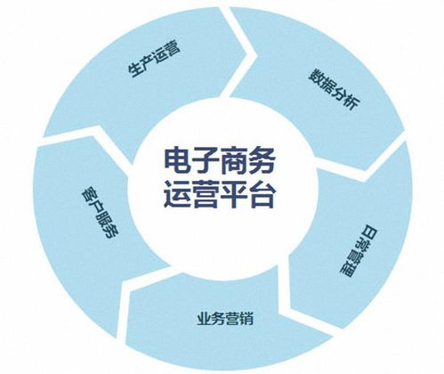 电子商务工程与技术专业