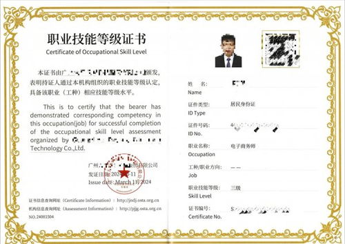 电子商务师专业技能认证