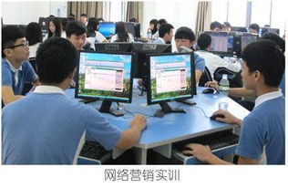 电子商务是学什么的专业